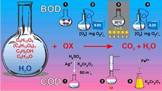 cod与bod