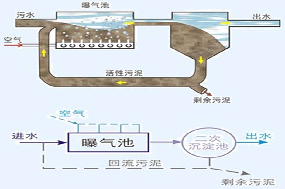 ?活性污泥法